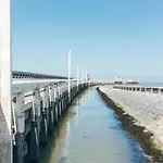 In Near The Pier