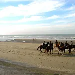 In Near The Pier *