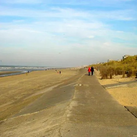 In Near The Pier * Бланкенберге