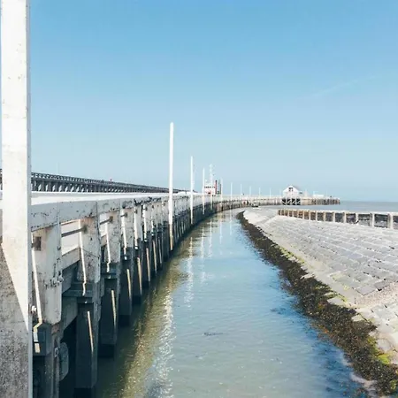 In Near The Pier